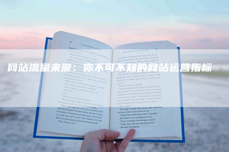 网站流量来源：你不可不知的网站运营指标