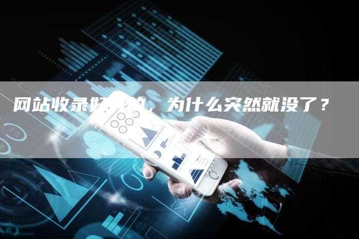 网站收录好好的，为什么突然就没了？