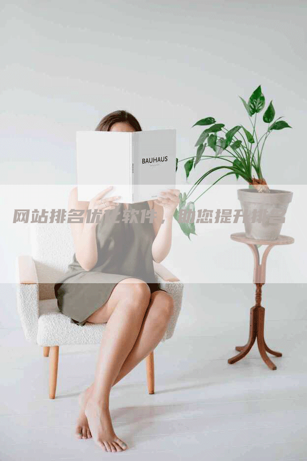 网站排名优化软件，助您提升排名